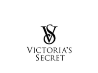 vsecretlogo